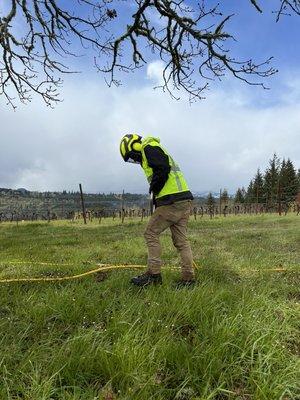 Associated Arborists