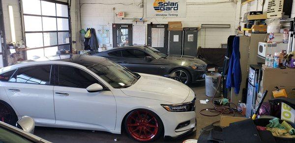 My Mustang after being tinted yesterday, 3-23-19. Amazing work!