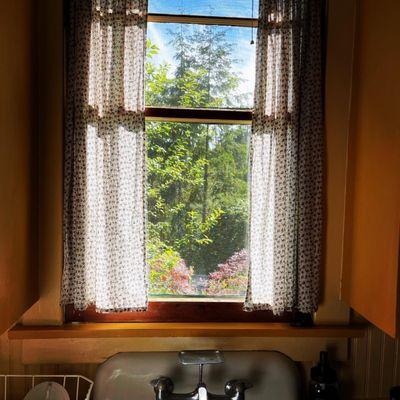 Looking out kitchen window