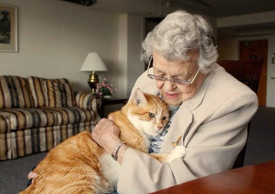 Bayview is a 62+, Nonprofit, Life Plan Community that is pet-friendly