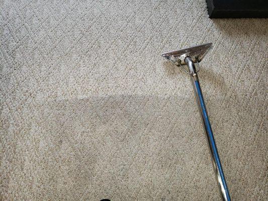 Vacation Rental Carpet Cleaning