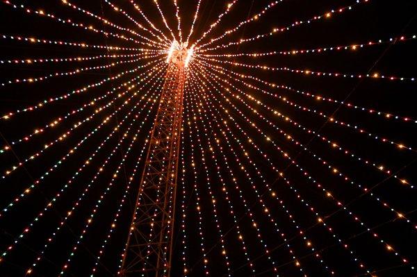 Every year, Austin Energy lights up Austin's holidays by creating the Zilker Holiday Tree.