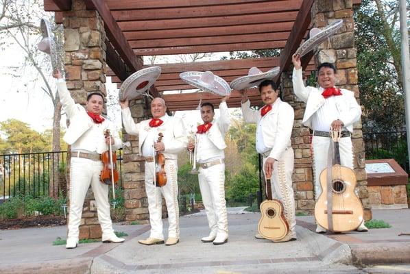 Mariachi Son de Mi Tierra