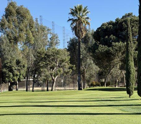 Last hole 95 yards to the pin.