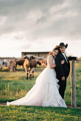 Bride & groom alongside our Texas longhorns.