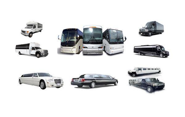 Large fleet Of Limo & Bus Rentals.