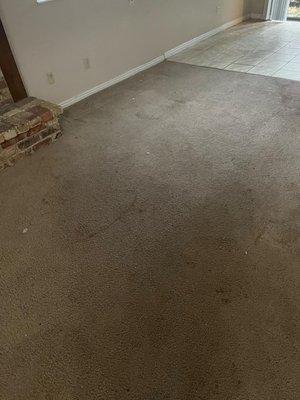 Dirty carpet filled with stains and soil.