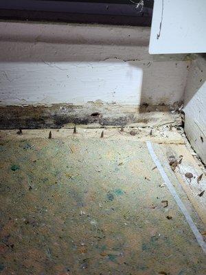 Affected baseboards due to water leak from pipe.