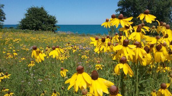 Located on Lake Michigan between Chicago and Milwaukee