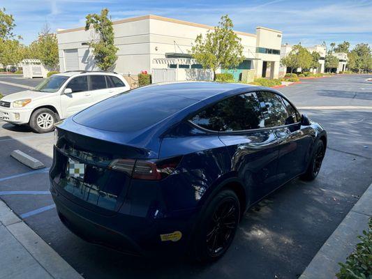 Tinted Model Y