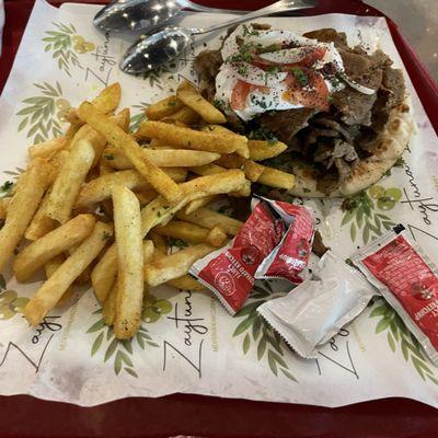 Gyro Special