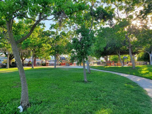 Lots of greenery