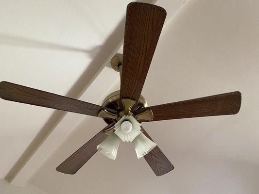 Fan after move-out cleaning - looks clean if you're near-sighted.