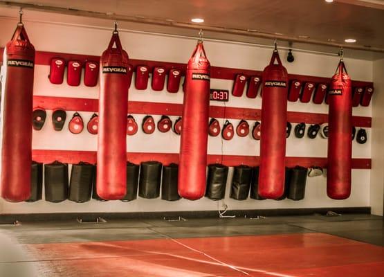 Heavy bags, mitts and matts inside Triton MMA.