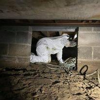 Mold remediation in a crawlspace