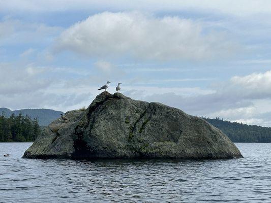 islands all over with scenic views