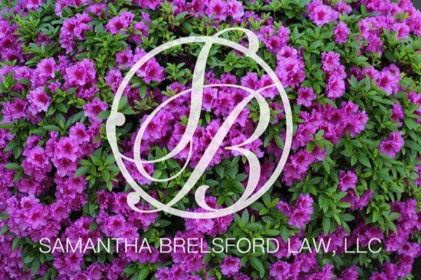 Please visit www.brelsfordlegal.com to schedule a virtual appointment for all your estate planning needs.