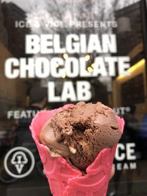 Single scoop of Shade on a coconut almond macaroon cone!