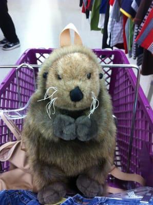 Otter backpack awesomeness!