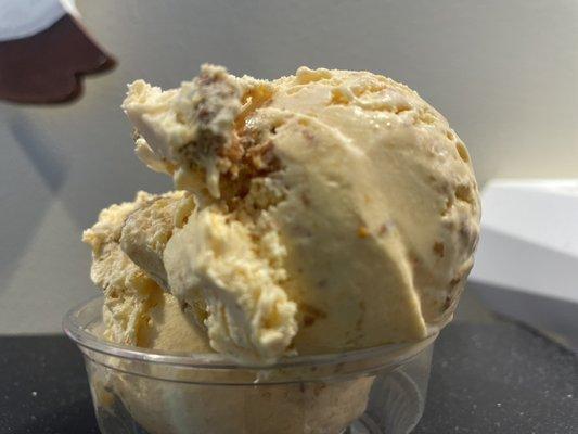 Pumpkin Ice Cream