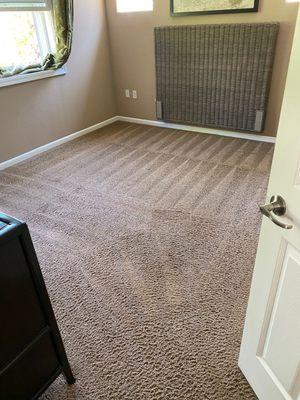 Clean carpets