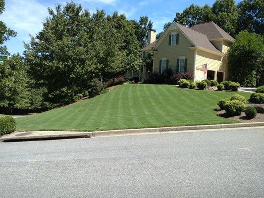 My lawn after I started using weed man