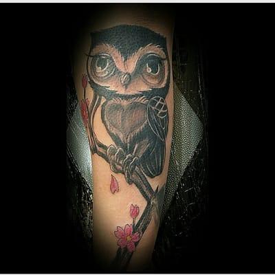 A beautiful owl done by Dino