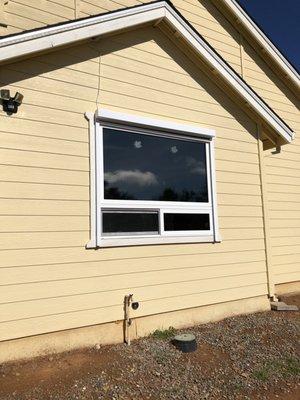 South facing window. Hopefully I don't have to put back the ugly room darkening shade. I won't know until August.