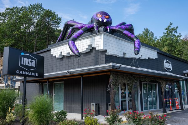 Be greeted by a 20ft spider!