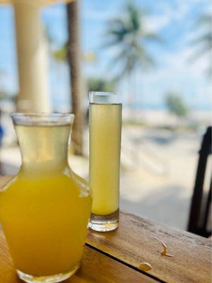 Bottomless mimosas on the beach....heck yeah!!