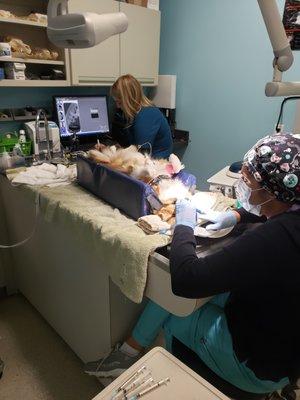 Our fully equipped dental suite