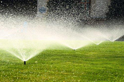 Gorman's Sprinklers Too