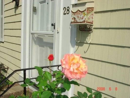 Front door & Roses