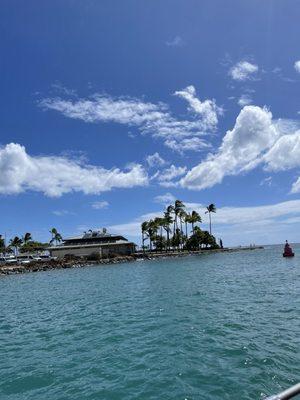 Oahu Diving