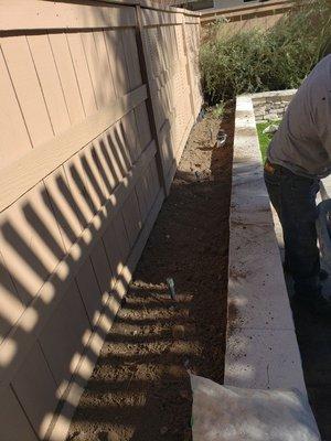 pepping planter for succulents and white gravel