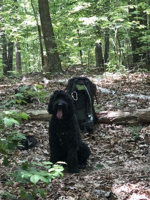 Taking a break on the trail