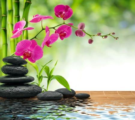 Feeling stressed? Unwind at Deanna's Holistic Health Center, LLC book a massage today 410-725-0621