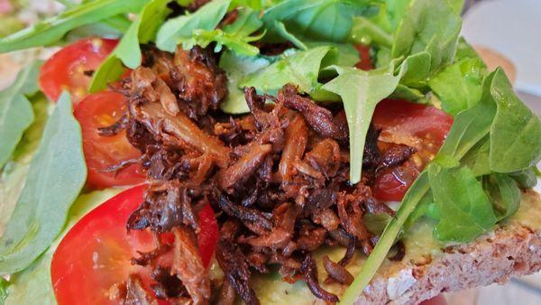 Maitake close up