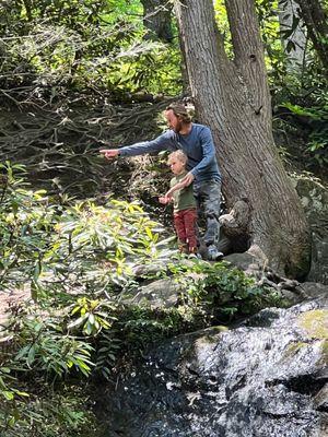 Our son decided to run to the top and dad had to safely get him down.