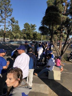 Line for busses