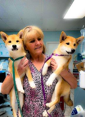 Billie-Hospital Manager with 2 adorable siblings