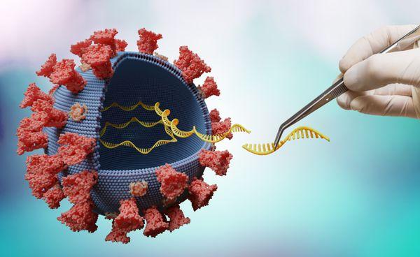 We can sequence SARS-COV-2 genome variants of concern.