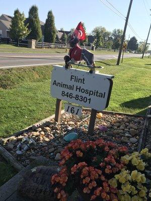 Skateboard dog on their front sign. Also, apparently they change it's look seasonally? Here he's pictured in full OSU regalia... Classic.