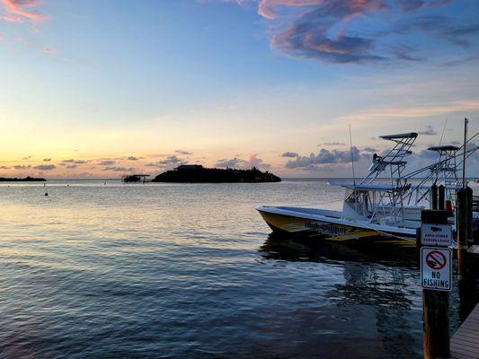 Marina behind the Tiki Bar, watch them bring fish in, clean and pack and fees the Tarpon!