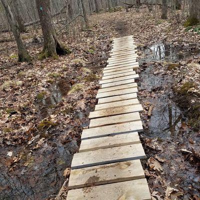 Plank bridge to get you through the wetlands