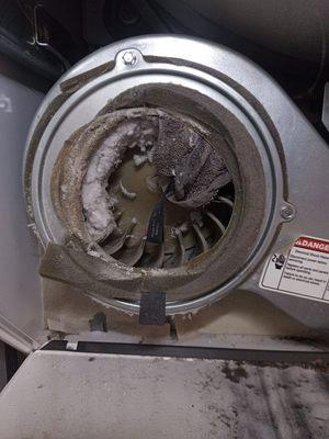 Let's Fix Appliance repair