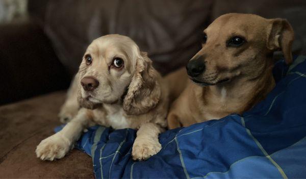 Cooper with his gal Winfred