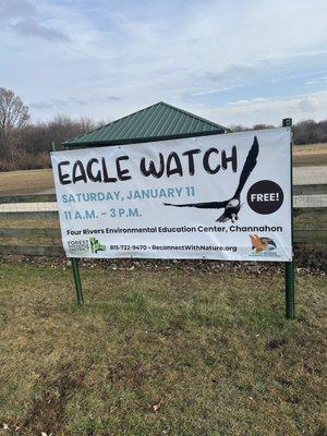 1/11/25 Eagle Watch