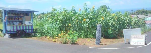 Our Farm Stand