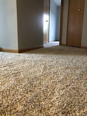 Carpet and flooring installation